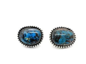 Bisbee Post Earrings