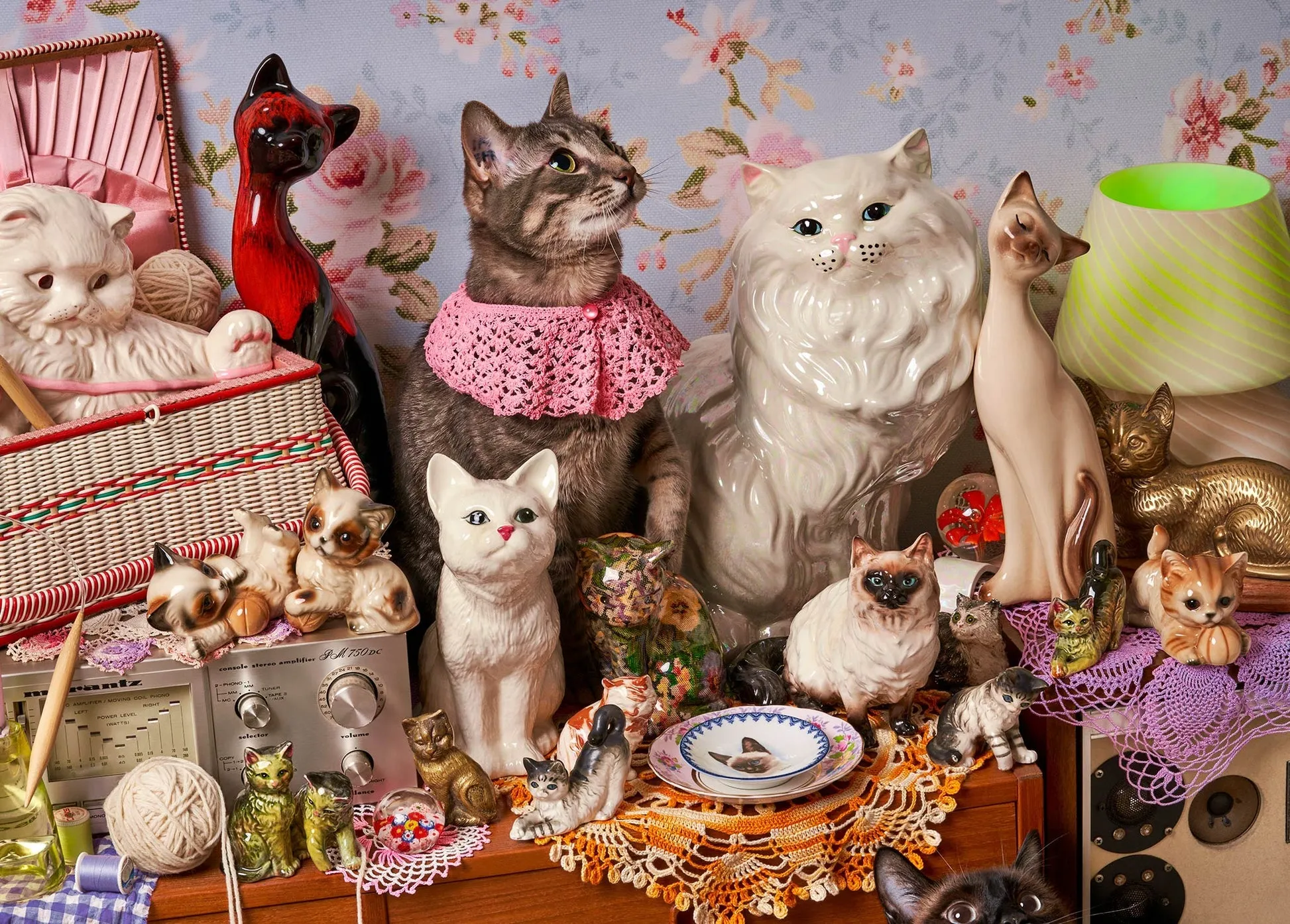 Cat Person