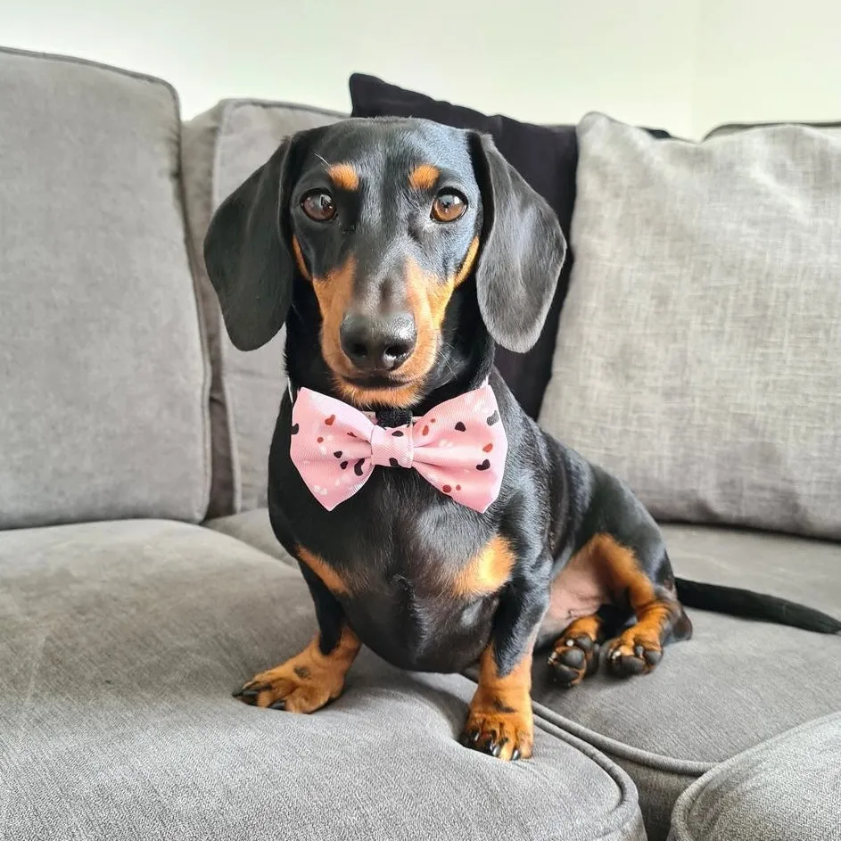 Confetti Bow Tie - Pastel Pink