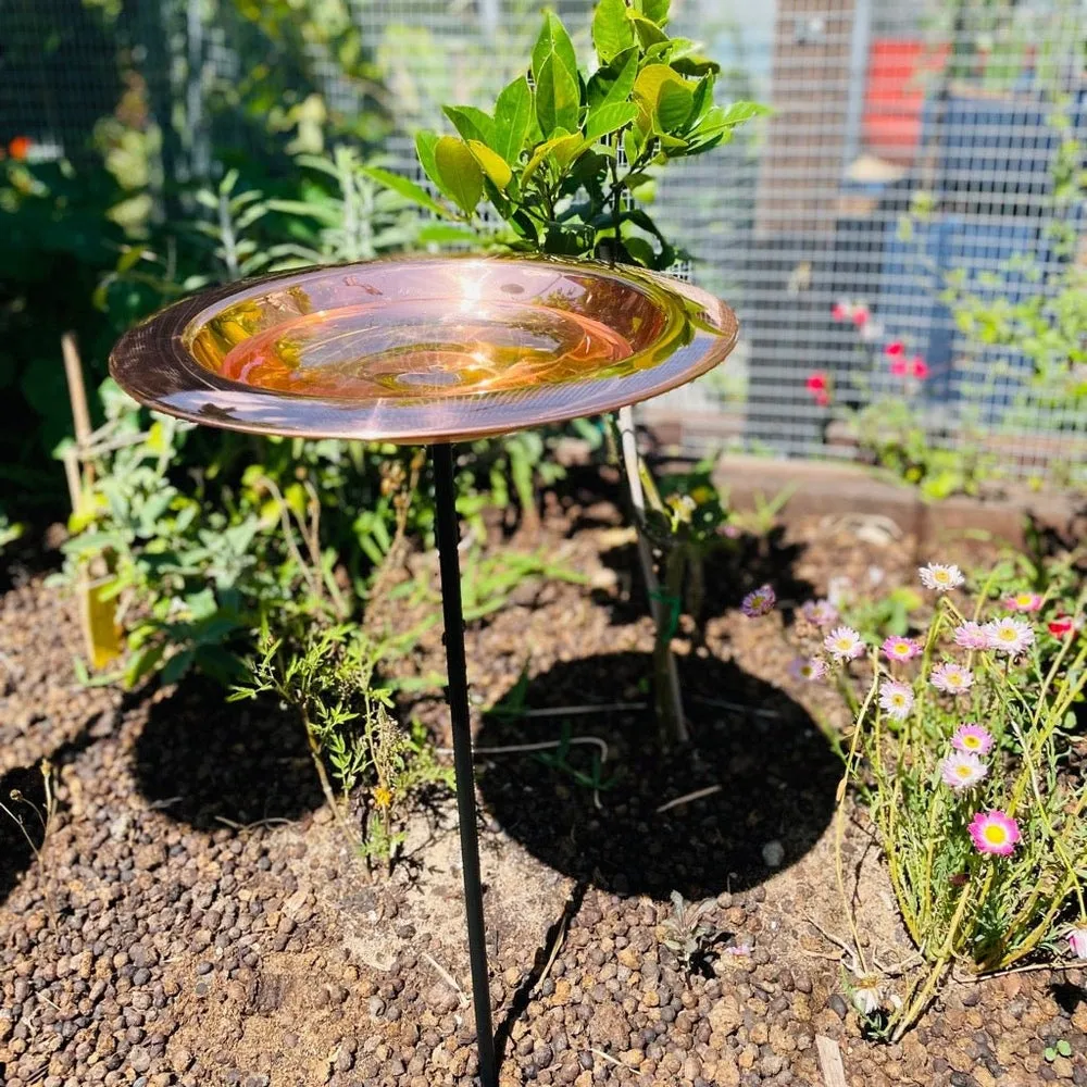 Copper Bird Bath on Stake