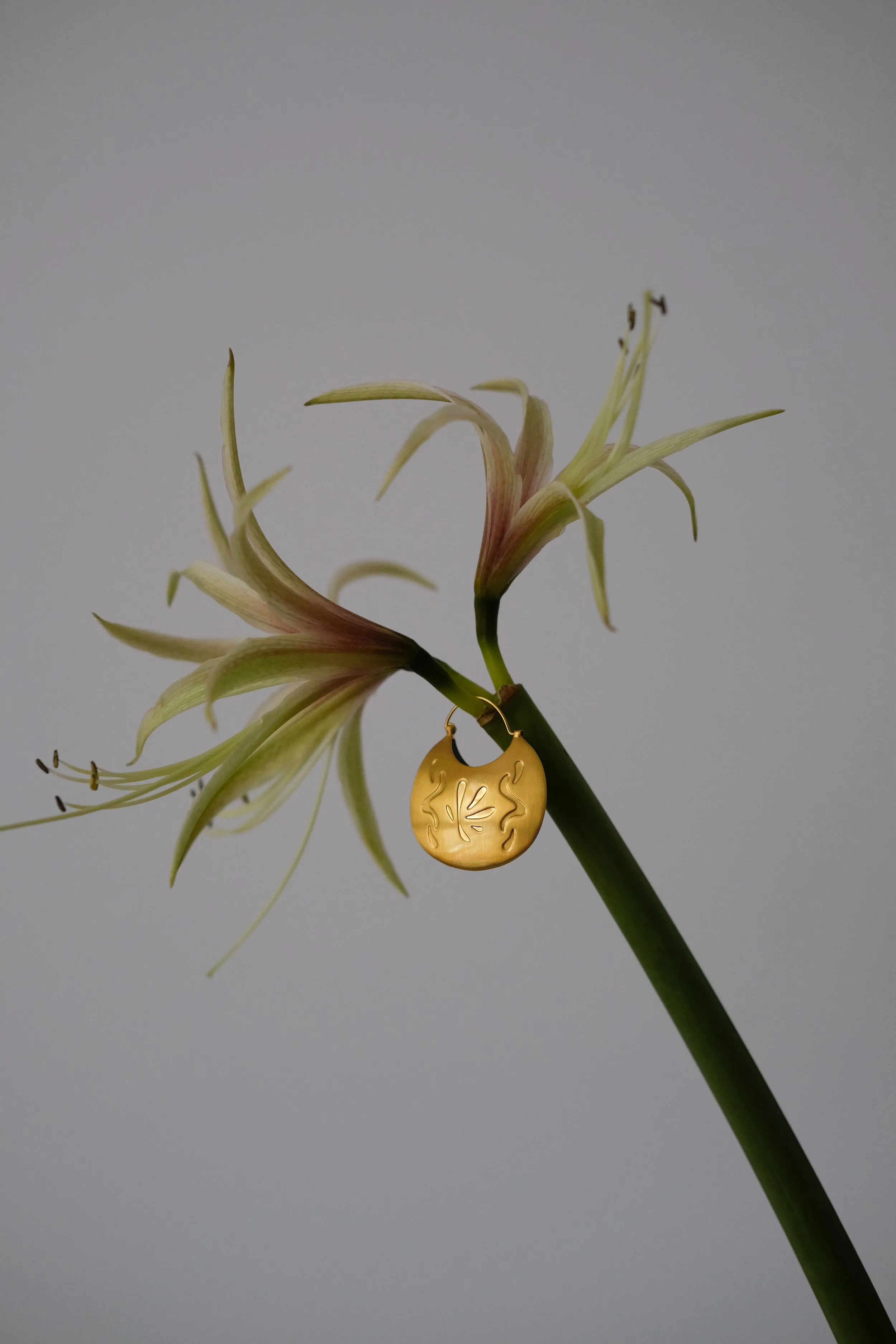 Hollow Round Earring