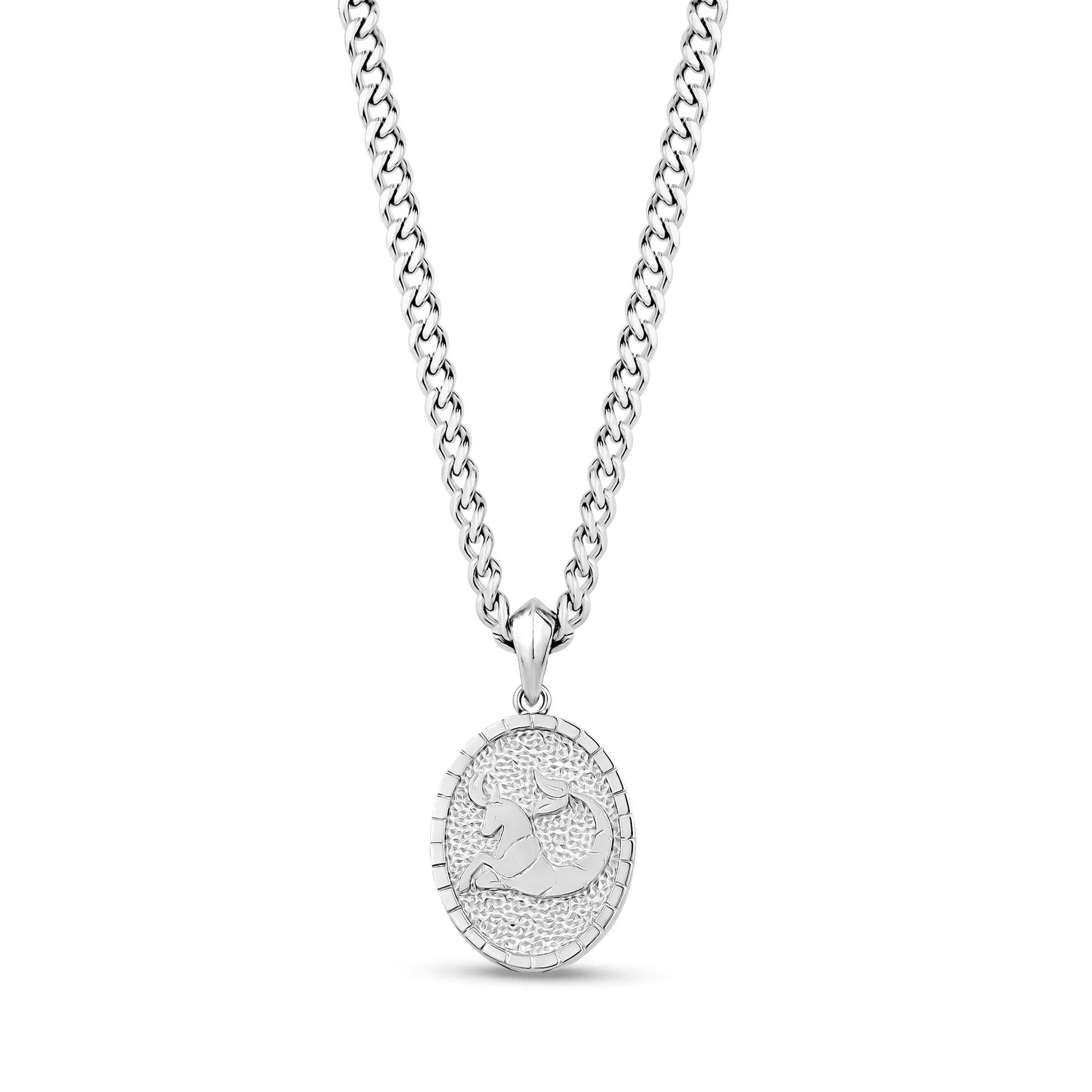 Oval Zodiac Pendant