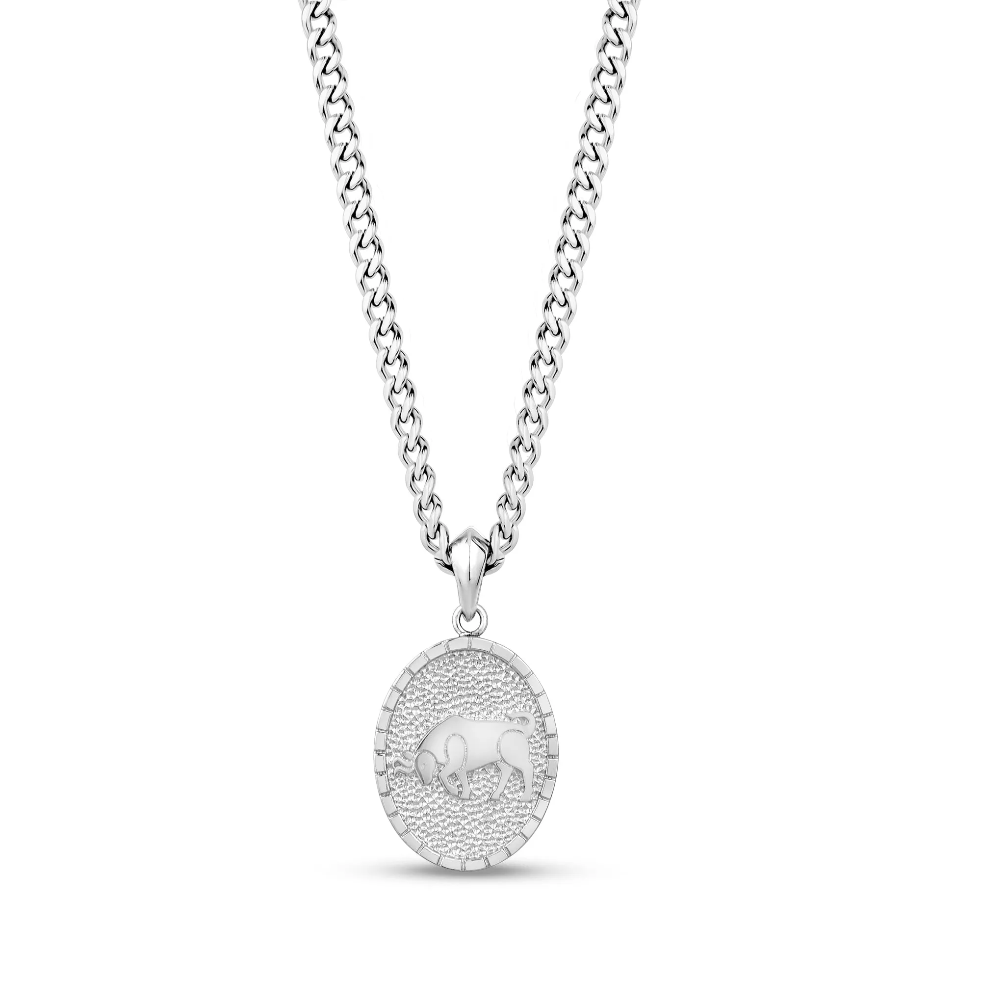 Oval Zodiac Pendant