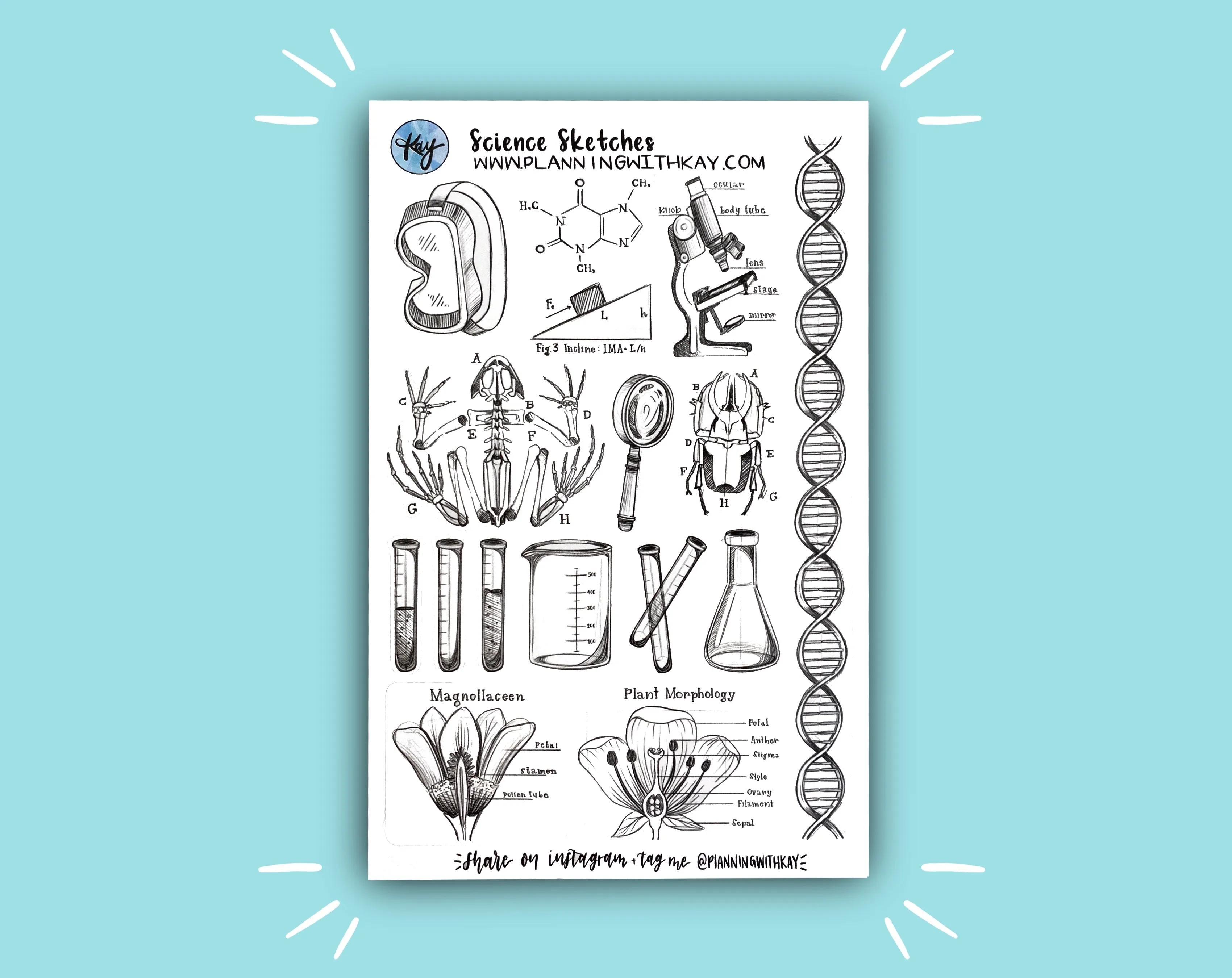 Science Sketches