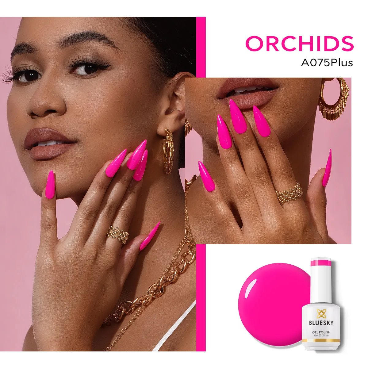 Shop | Classic PLUS | ORCHIDS