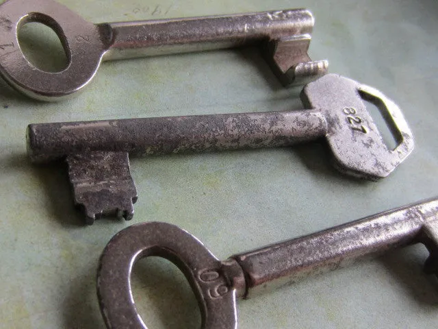 Skeleton Keys - Vintage Antique keys-  Barrel keys - e23