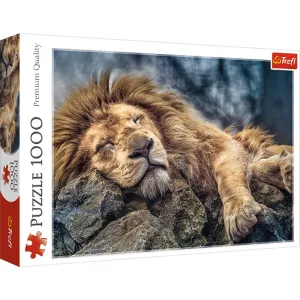 Sleeping Lion - 1000pc